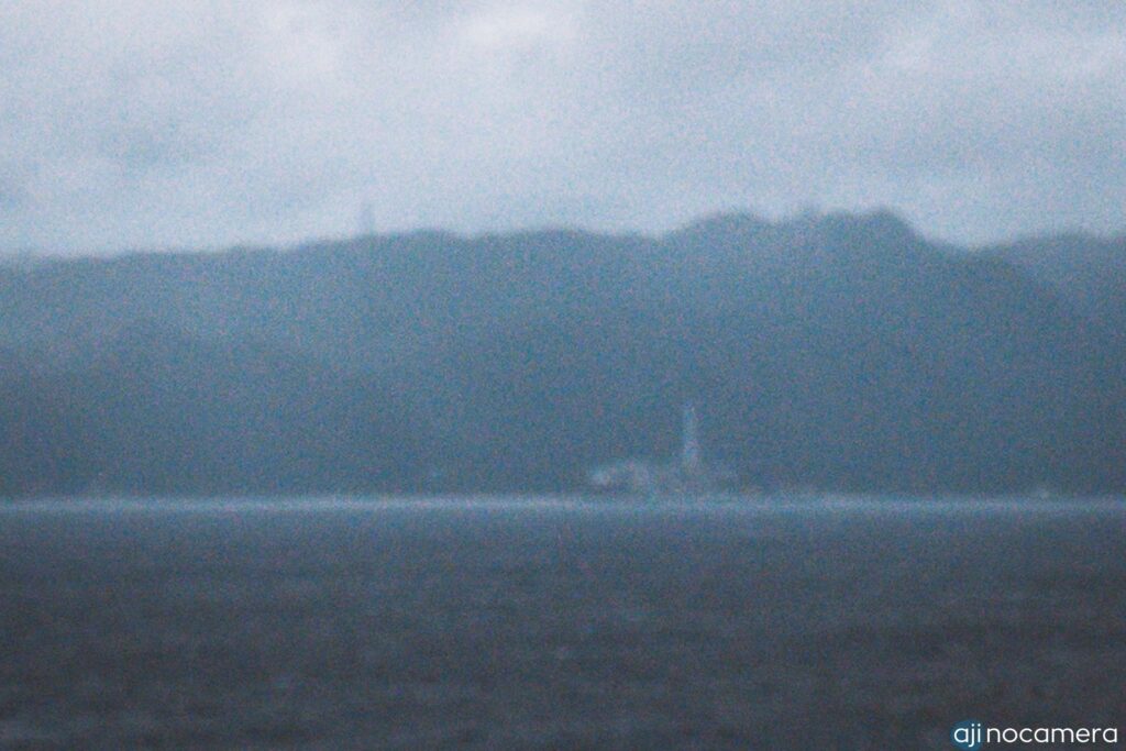 ノイズ参考写真（拡大）
暗がりの室内：ISO3200