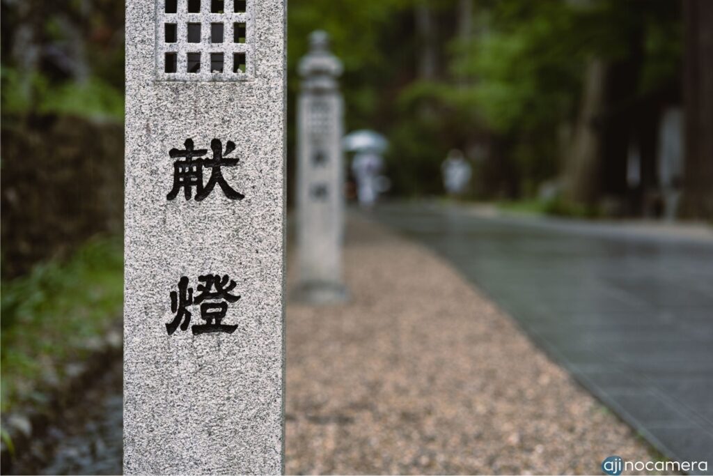 献燈