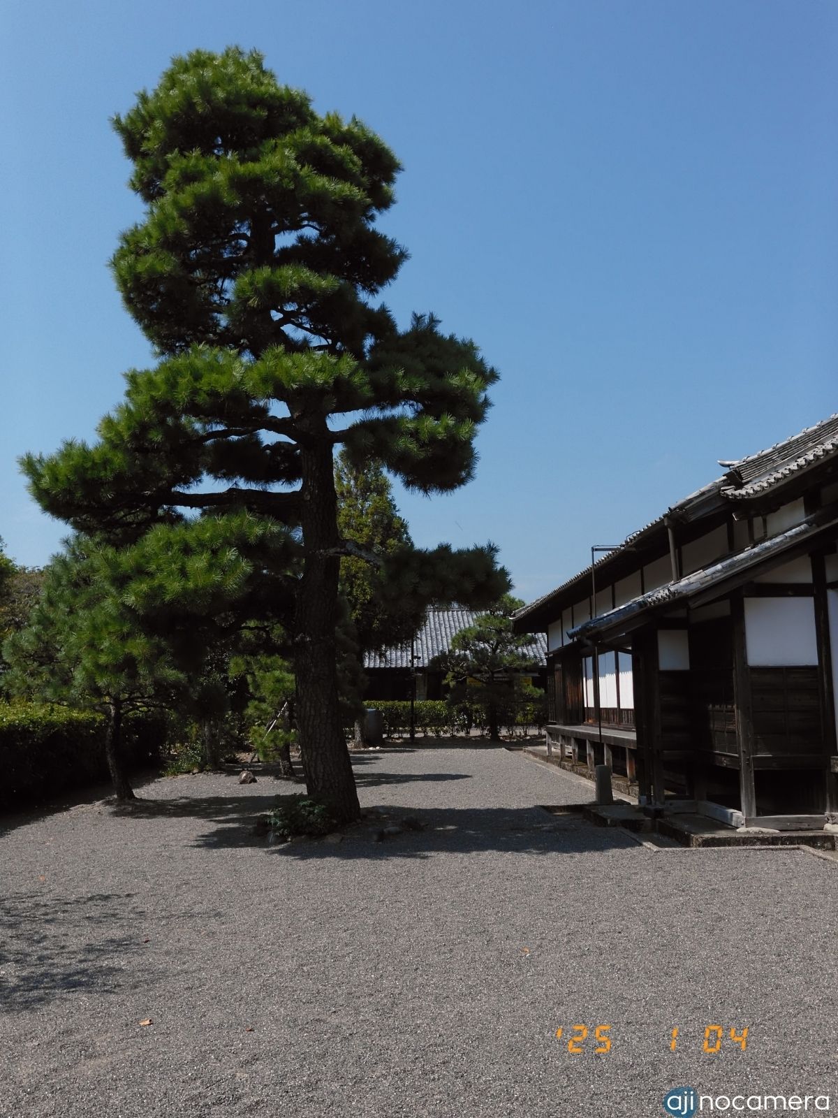 二の丸御殿の庭