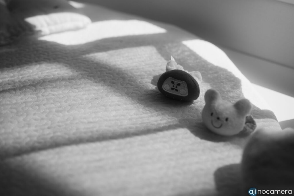 何気なく撮った部屋の写真（モノクロ）