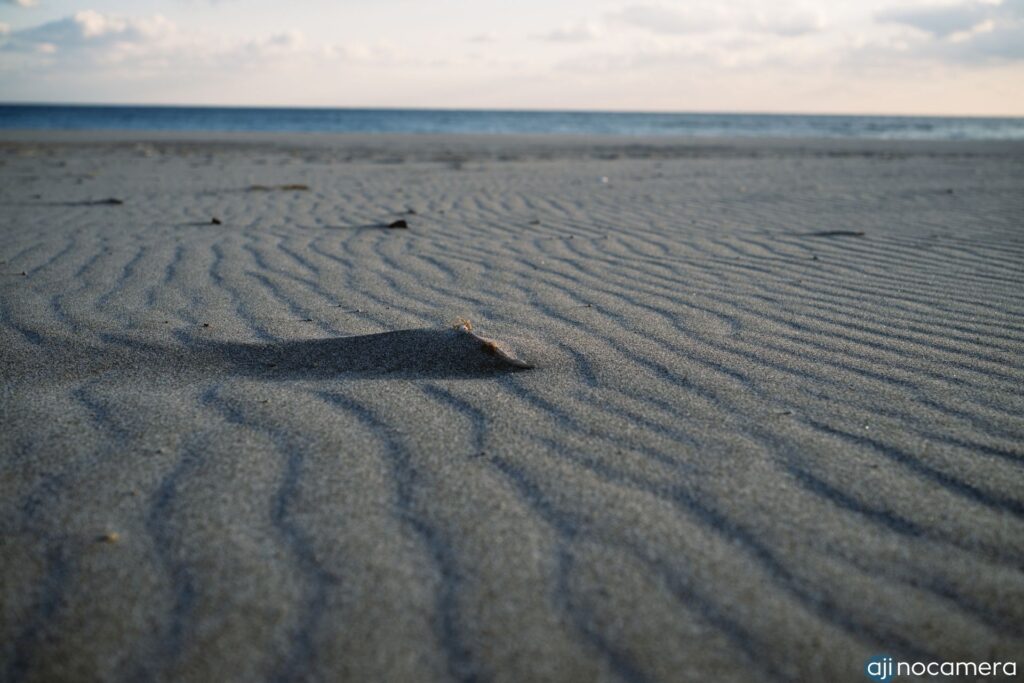 砂浜の写真